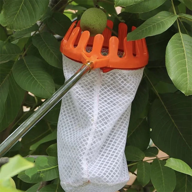Pegador de Fruta