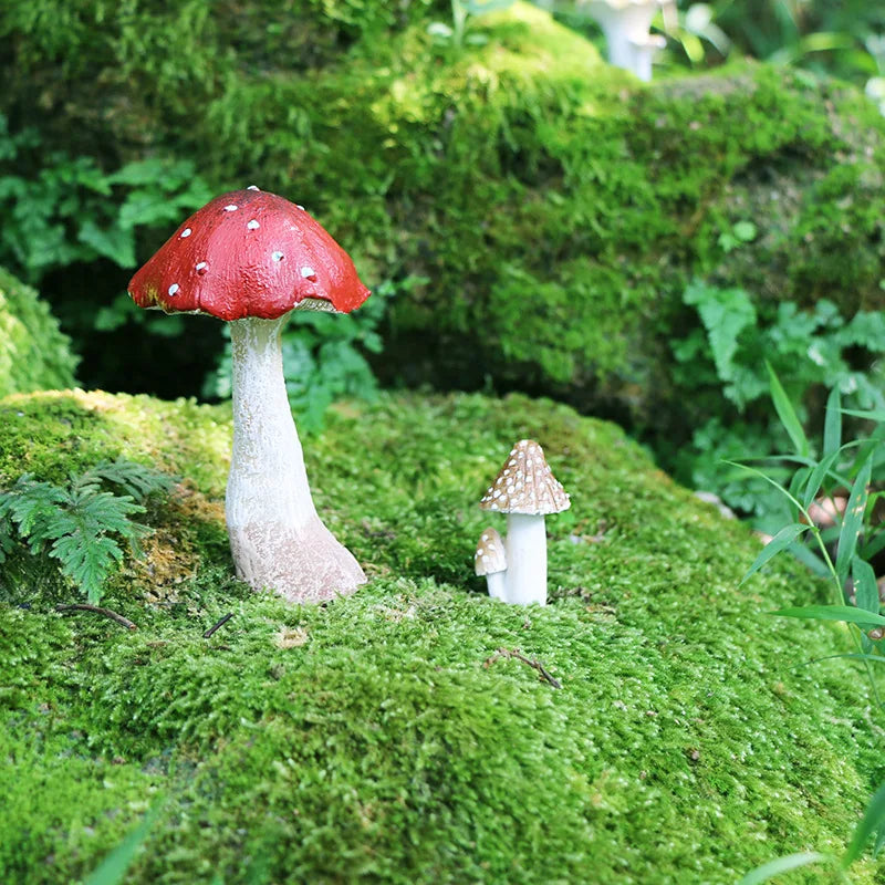 Cogumelo de Decoração