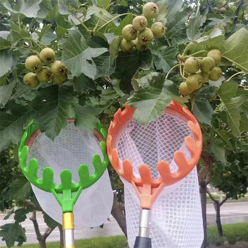 Pegador de Fruta
