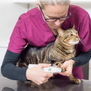 Cortador de Unha Elétrico Profissional USB para Pets