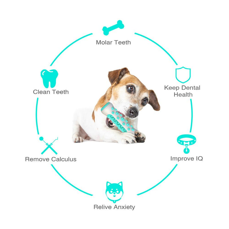 Escova Dental para Cachorros